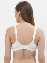 Women's Non Padded & Non-Wired Medium Coverage T-Shirt Bra T3050